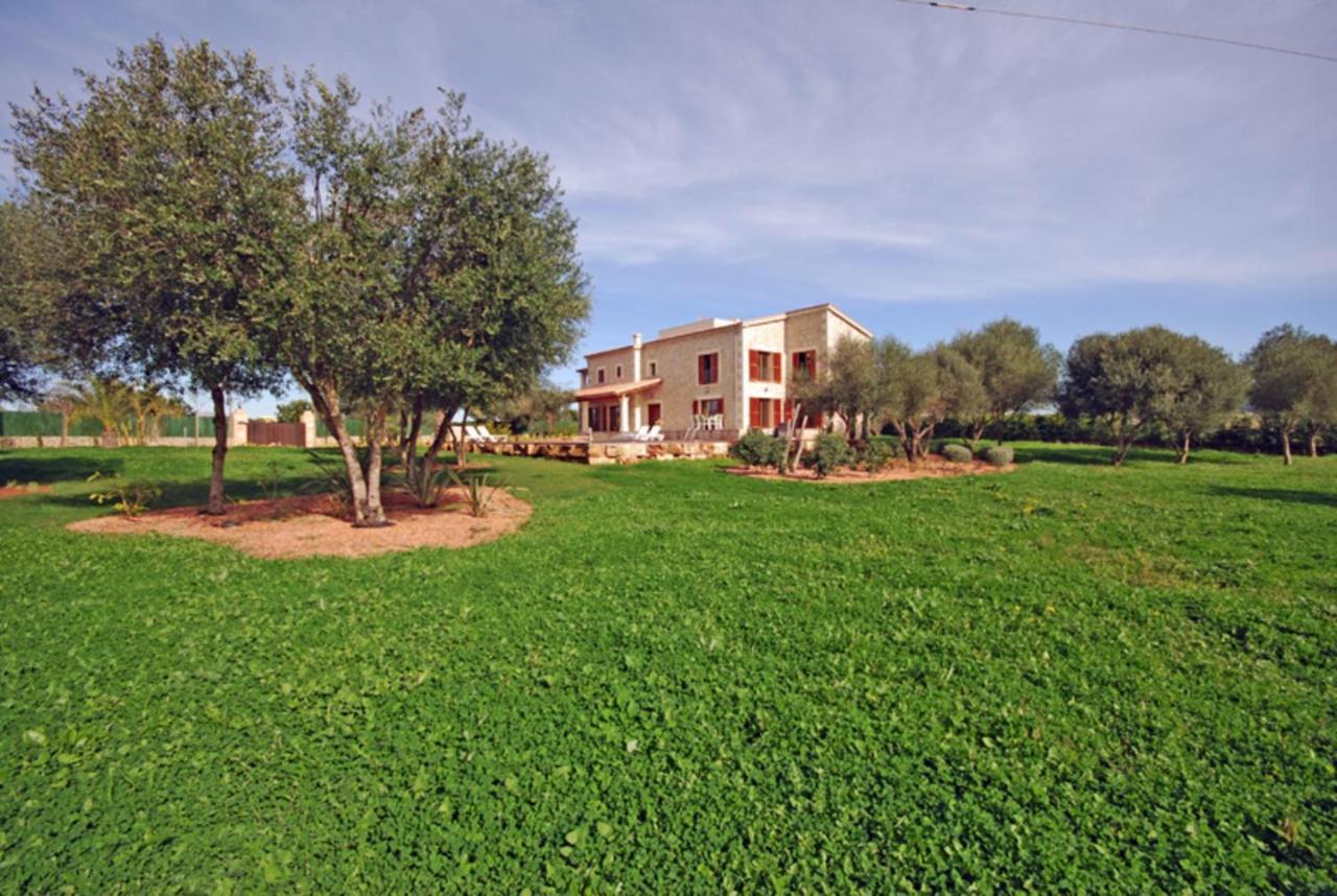 Santa Maria Holiday home Alcudia (Mallorca)